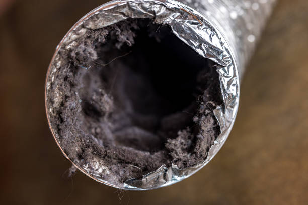 Best Professional Duct Cleaning Services  in Grayson, CA